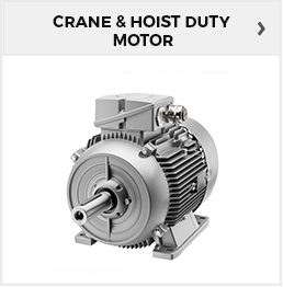 Crane & Hoist Duty Motors