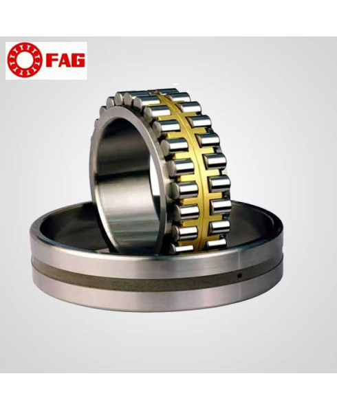FAG Cylindrical Roller Bearing-N313EM1.C3