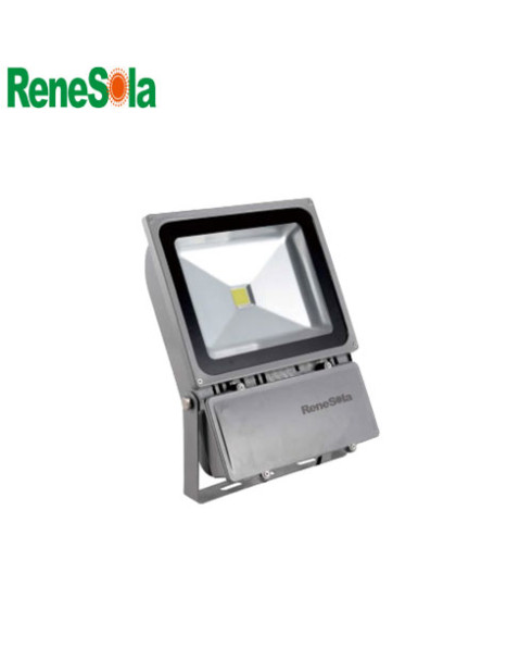 Renesola 10W LED Flood Light-RFL010X0101