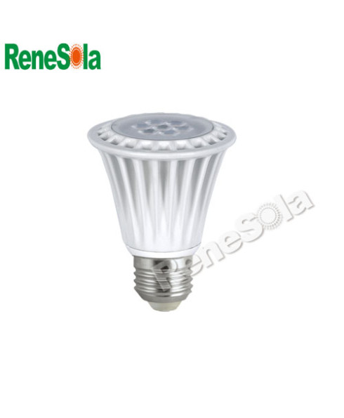 Renesola 16W LED Par Lamp-RP38D016BG01