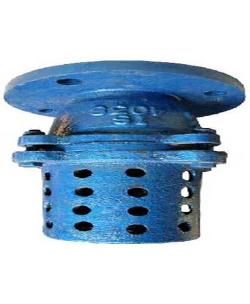 RMCO 200 mm Foot Valve-IS-4038