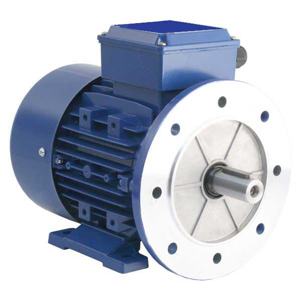 BuyKirloskar Three Phase 20 HP 4 Pole AC Induction MotorKI160LB/D