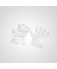 Axtry Disposable Poly Gloves (Pack of 1000 Pcs)