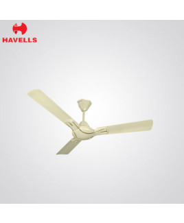 Havells 1400 mm Pearl Ivory Gold Colour Ceilling Fan-Nicola