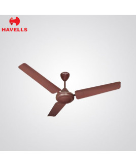 Havells 900 mm Brown Colour Ceilling Fan-Velocity
