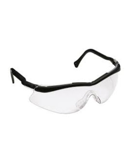 3M Safety Goggle-12109