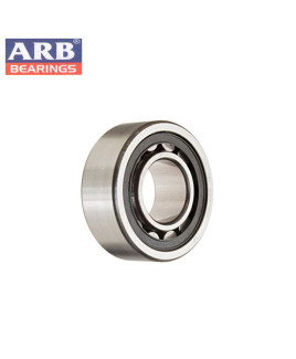 ARB Cylinderical Roller Bearing-N-205