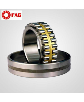 FAG Cylindrical Roller Bearing-NF309