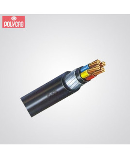 Polycab 1.5 Sq.mm 2 Core Copper Armoured Control Cable (Pack of-100 m)-SISLV2X1.510076