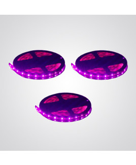 Ryna Pink Colour LED Strip Light 5 Meters Each (Non Water Proof)-Pack of 3