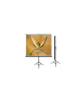 Microtec Multimedia Projection Screen With Metallic Stand-125x125 cm