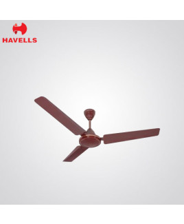 Havells 900 mm Brown Colour Ceilling Fan-Pacer