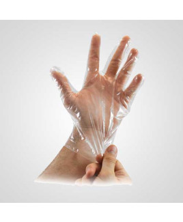 Axtry Disposalbe Plastic Gloves (Pack of 500 Pcs)