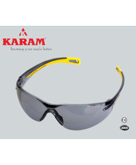 Karam Smart Choice black Safety Goggle-ES 013